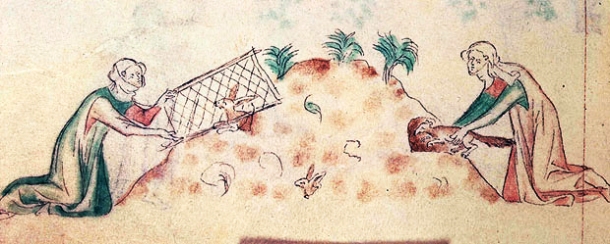 Women catching rabbits with ferrets and nets, from the Queen Mary Psalter, ca 1310-1320. (Source) http://en.wikipedia.org/wiki/File:Women_hunting_rabbits_with_a_ferret.jpg